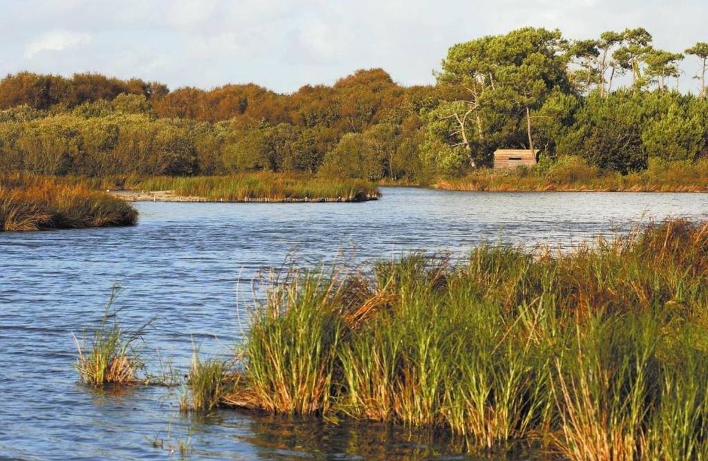 Camping Kost Ar Moor Fouesnant Exterior foto